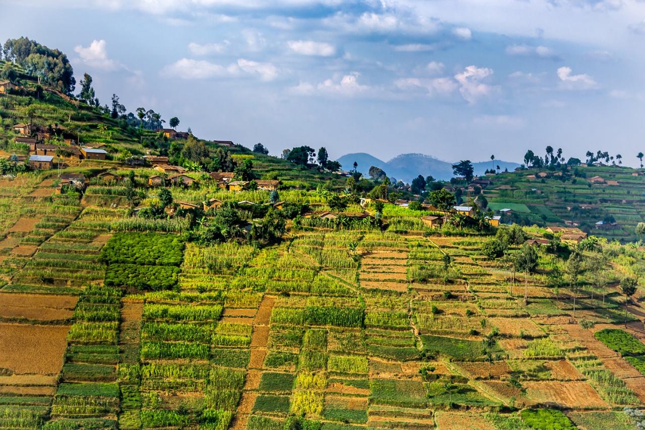 Designing smart business strategies to serve the poor