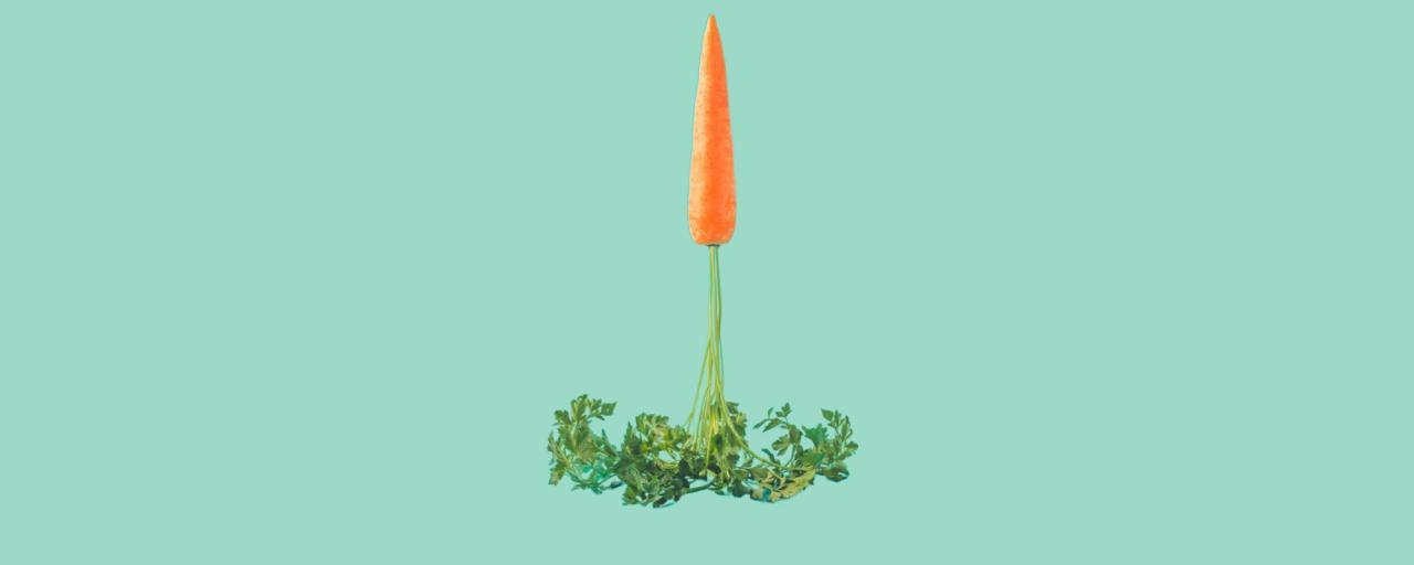 Carrot as a rocket