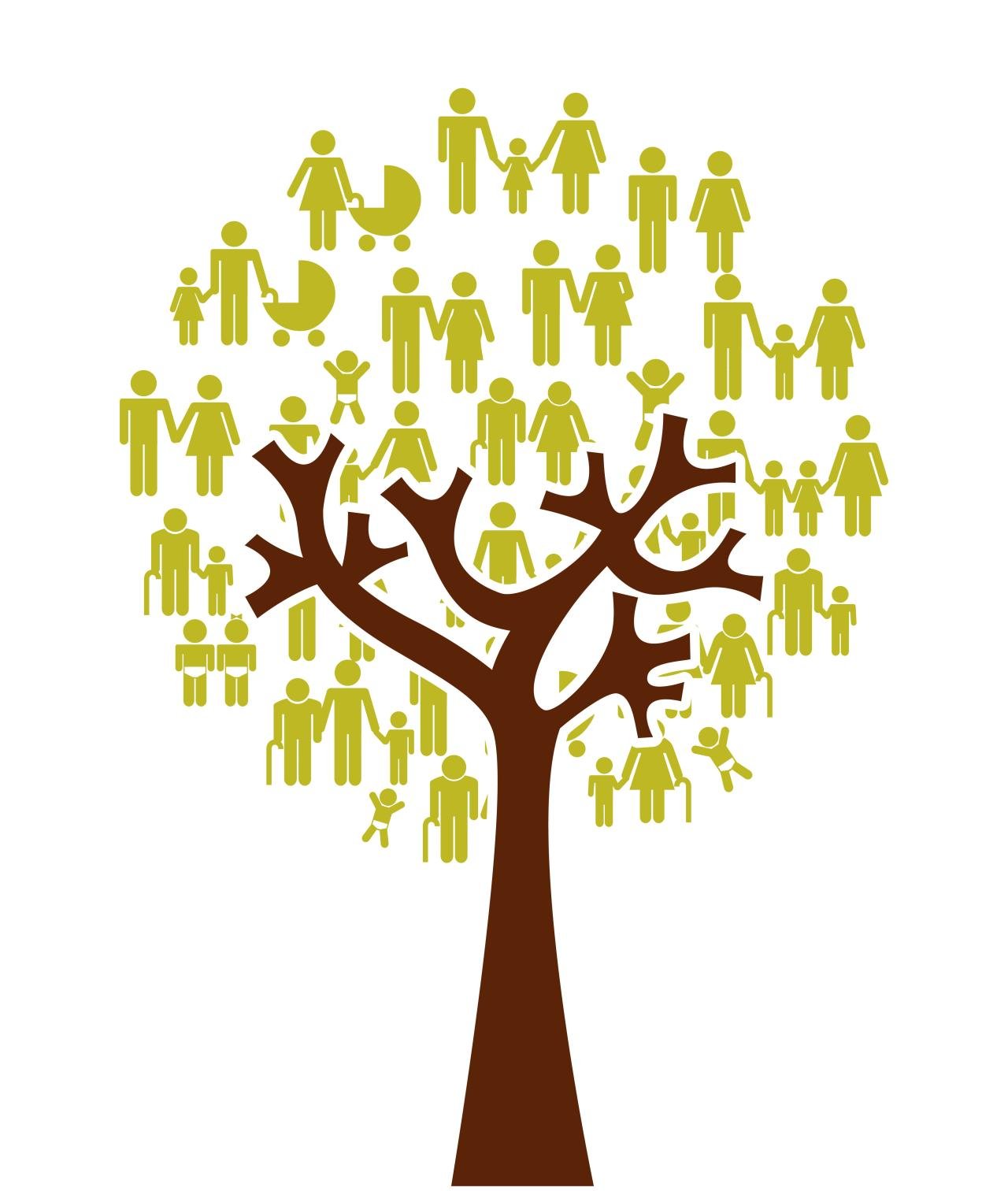 Family Tree Family Tree