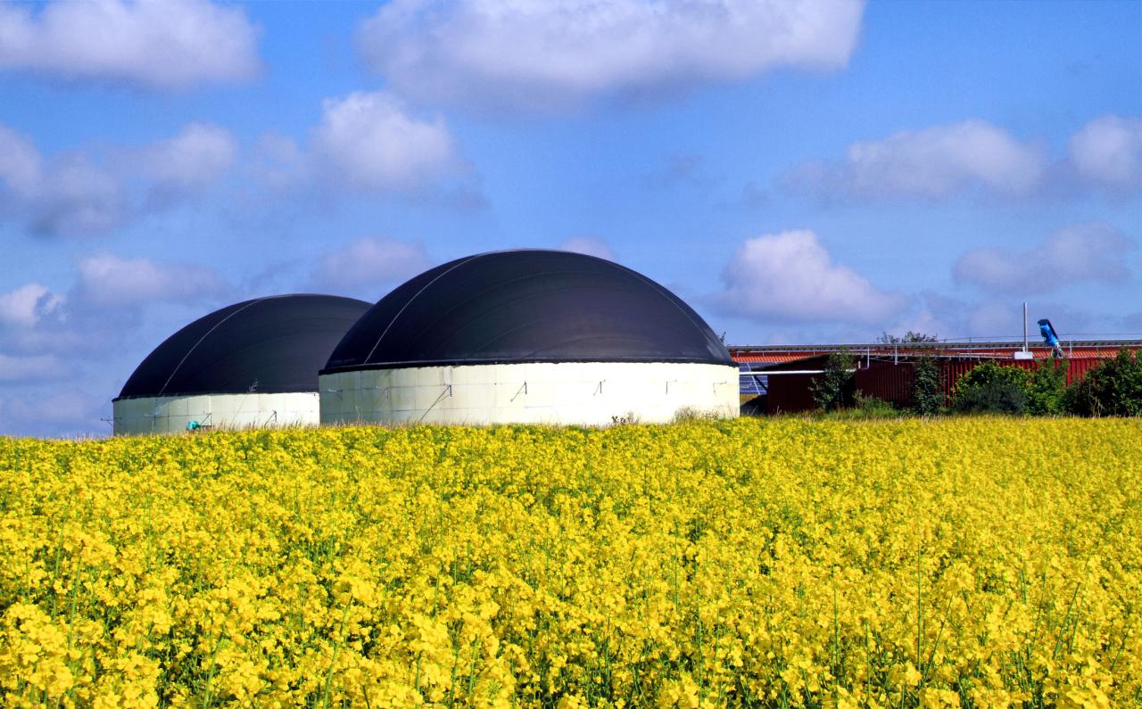 Bringing Fresh Air to Biogas Bringing Fresh Air to Biogas