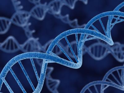 DNA Strands DNA Strands